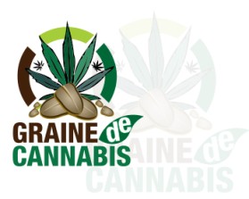 Graine de Cannabis entry by joopre