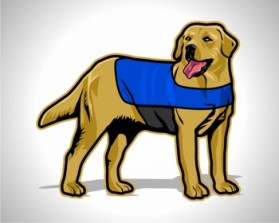 Vested Paws, Inc entry by Digiti Minimi