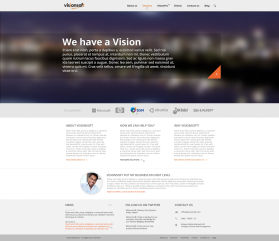 visionsoft entry by dzengy