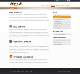 visionsoft entry by sushovan