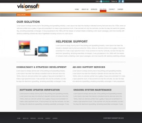 visionsoft entry by sushovan