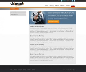 visionsoft entry by sushovan