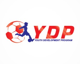 Youth Development Program entry by muhammad hidayattuloh