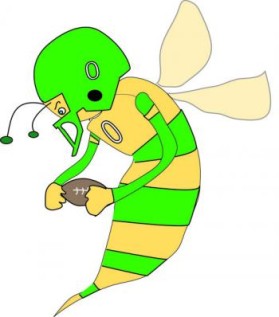 Northern Utah Swarm Football entry by Connie Hall