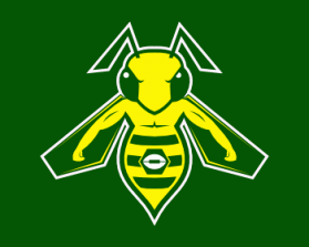 Northern Utah Swarm Football entry by Mikal Shorts