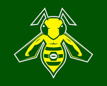 Football Hornet Mascot