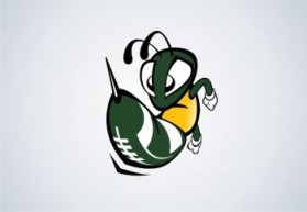 Northern Utah Swarm Football entry by hendra kurniawan