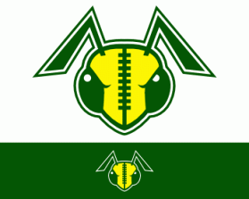 Northern Utah Swarm Football entry by Mikal Shorts
