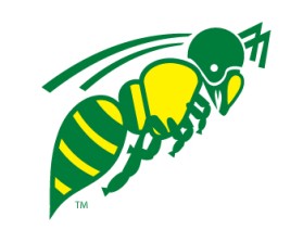 Northern Utah Swarm Football entry by Keith Fiddler