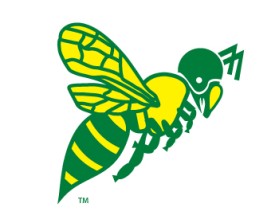 Northern Utah Swarm Football entry by Keith Fiddler