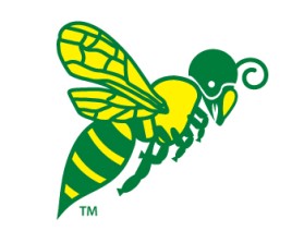 Northern Utah Swarm Football entry by Keith Fiddler