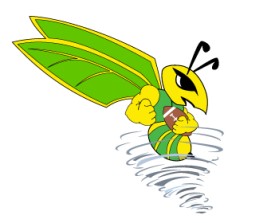Northern Utah Swarm Football entry by sharie voss