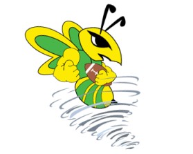 Northern Utah Swarm Football entry by sharie voss