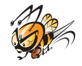 Northern Utah Swarm Football entry by Greg Scott