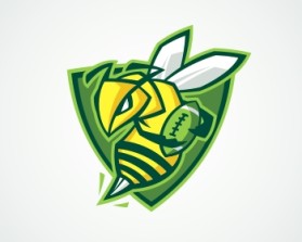 Northern Utah Swarm Football entry by Georgi Pasev