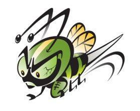 Northern Utah Swarm Football entry by Greg Scott