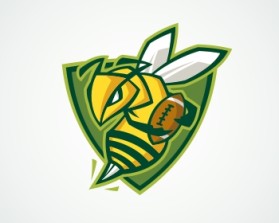 Northern Utah Swarm Football entry by Georgi Pasev
