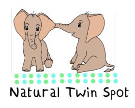 Eco Friendly products and apparel for twins entry by Sassafras