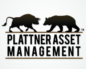 www.PlattnerAssetManagement.com entry by skintzdesign