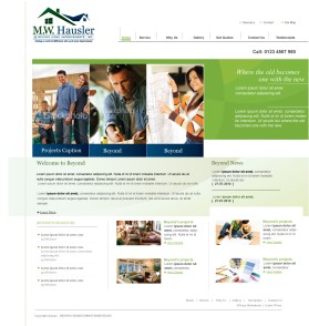 WWW.BEYONDHOMEIMPROVEMENTS.COM entry by craetivefossils
