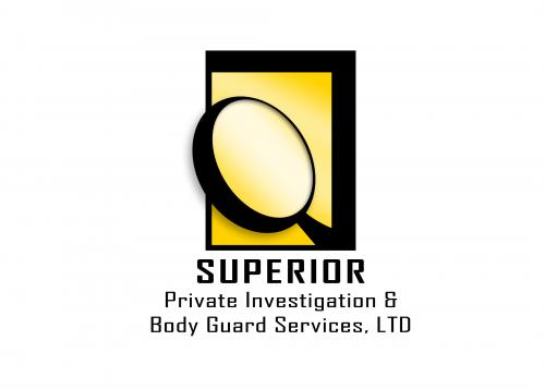 Logo Design entry 18081 submitted by licamille