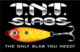 Logo Design entry 32182 submitted by chungdehtien