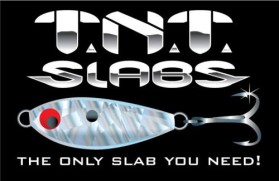 Logo Design entry 18672 submitted by chungdehtien