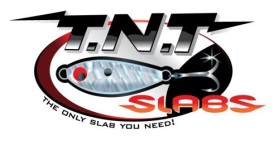 Logo Design entry 18677 submitted by chungdehtien