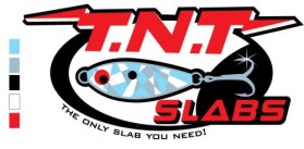 Logo Design entry 18685 submitted by chungdehtien