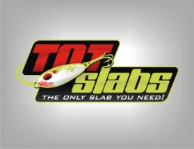 Logo Design entry 32193 submitted by damichi75