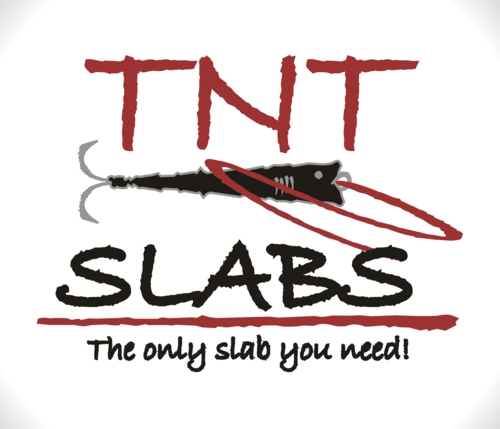 Logo Design entry 18724 submitted by eShopDesigns