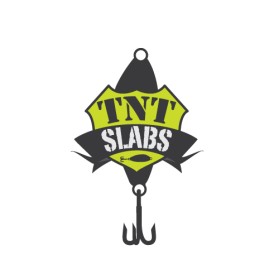 Logo Design entry 18790 submitted by banned_Spire-NY