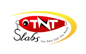 Logo Design entry 18890 submitted by wedesignlogo