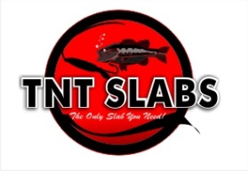 Logo Design entry 18942 submitted by baylonrabe