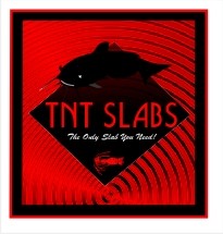 Logo Design entry 18944 submitted by baylonrabe