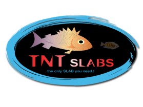 Logo Design entry 18984 submitted by Magik