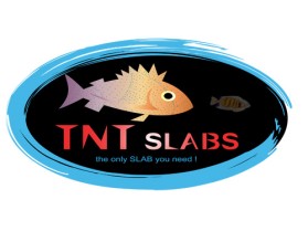 Logo Design entry 18985 submitted by Magik