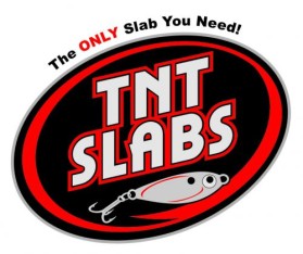 Logo Design entry 19007 submitted by signgirl71