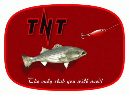 Logo Design entry 19019 submitted by Machineman