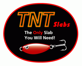 Logo Design entry 19043 submitted by Machineman