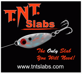 Logo Design entry 19102 submitted by Machineman