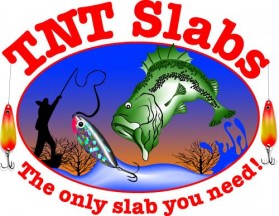 Logo Design entry 19130 submitted by jakedg