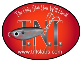 Logo Design entry 19173 submitted by Machineman