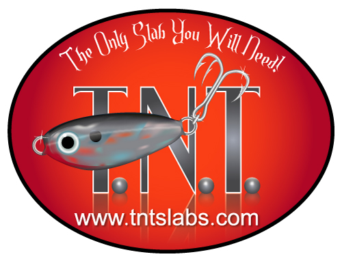 Logo Design entry 19173 submitted by Machineman