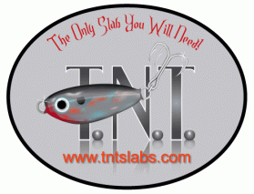 Logo Design entry 19176 submitted by Machineman