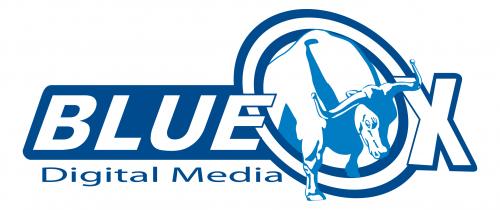 Logo Design entry 21527 submitted by deocane