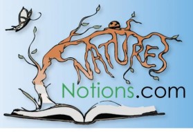 Logo Design entry 22126 submitted by JINKODESIGNS