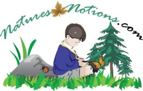 Logo Design entry 22135 submitted by JINKODESIGNS