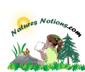 Logo Design entry 22150 submitted by JINKODESIGNS