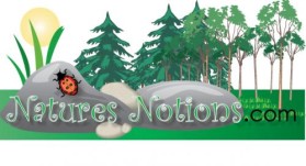 Logo Design entry 22151 submitted by JINKODESIGNS